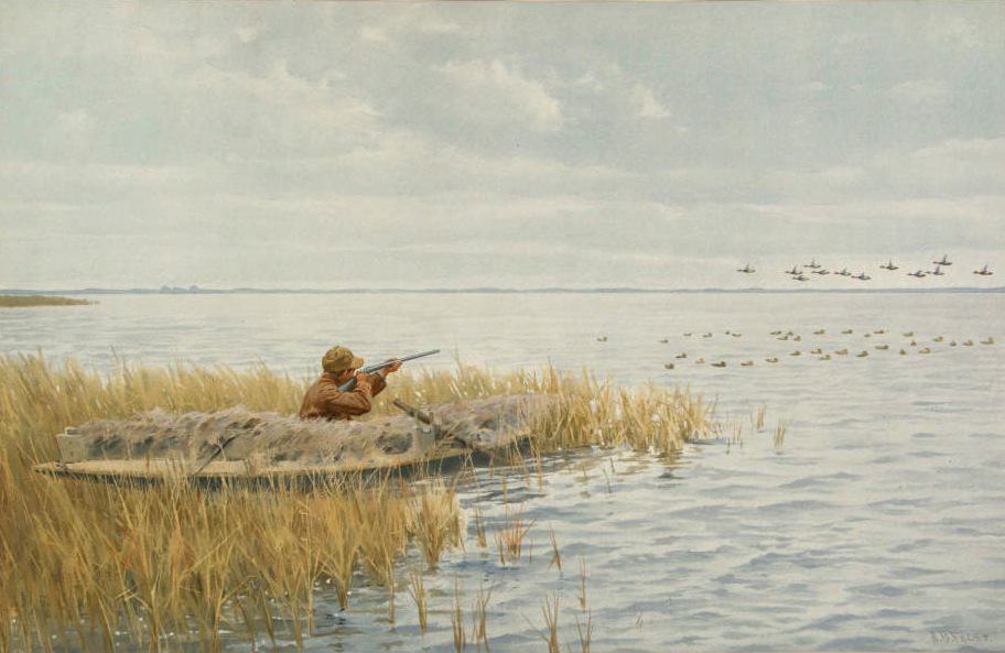 duck shooting from canoe blind