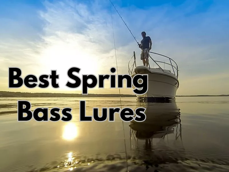 Best Spring Bass Lures