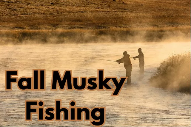 Fall Musky Fishing