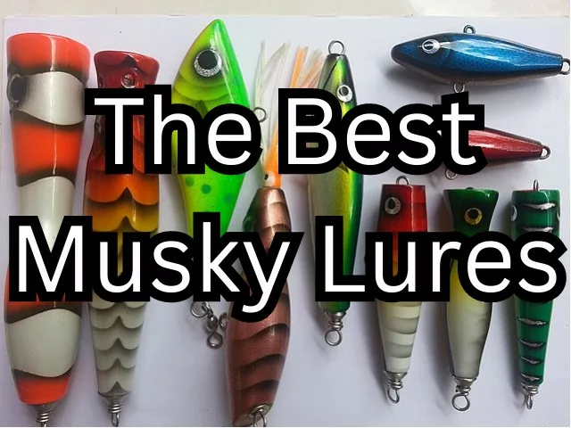 The Best Musky Lures