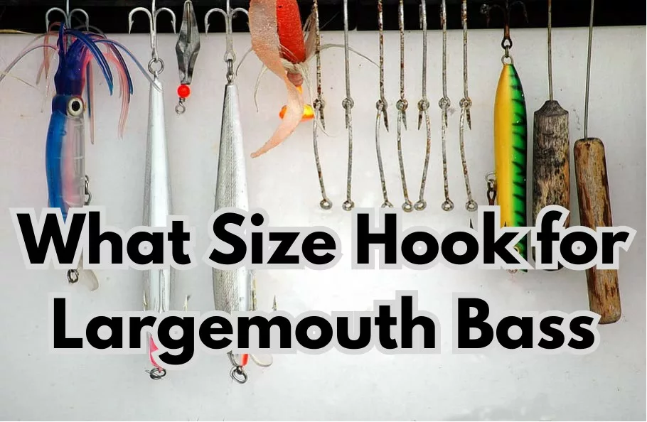 What Size Hook for Largemouth Bass
