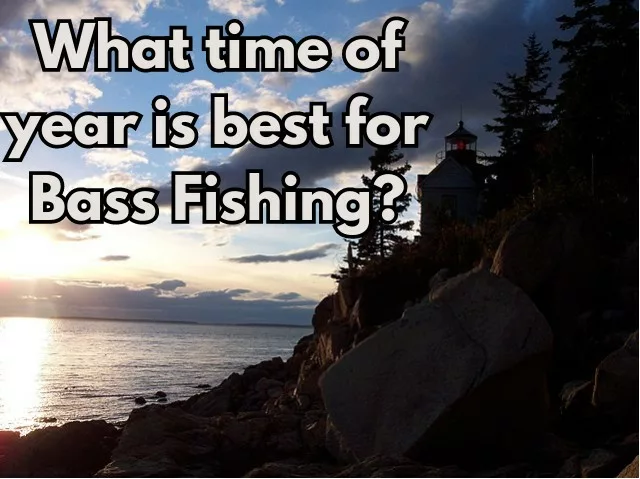 What time of year is best for Bass Fishing
