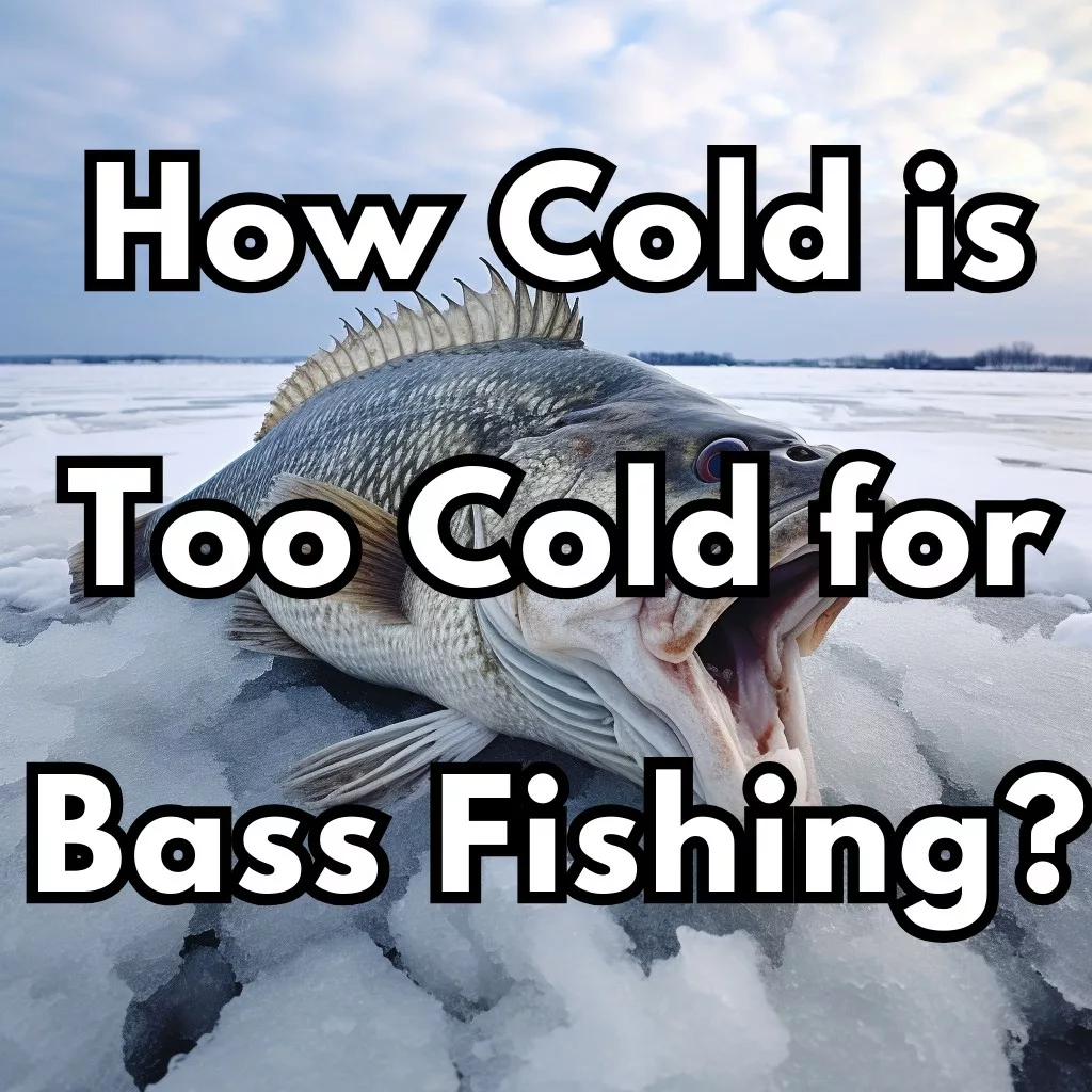How Cold is Too Cold for Bass Fishing