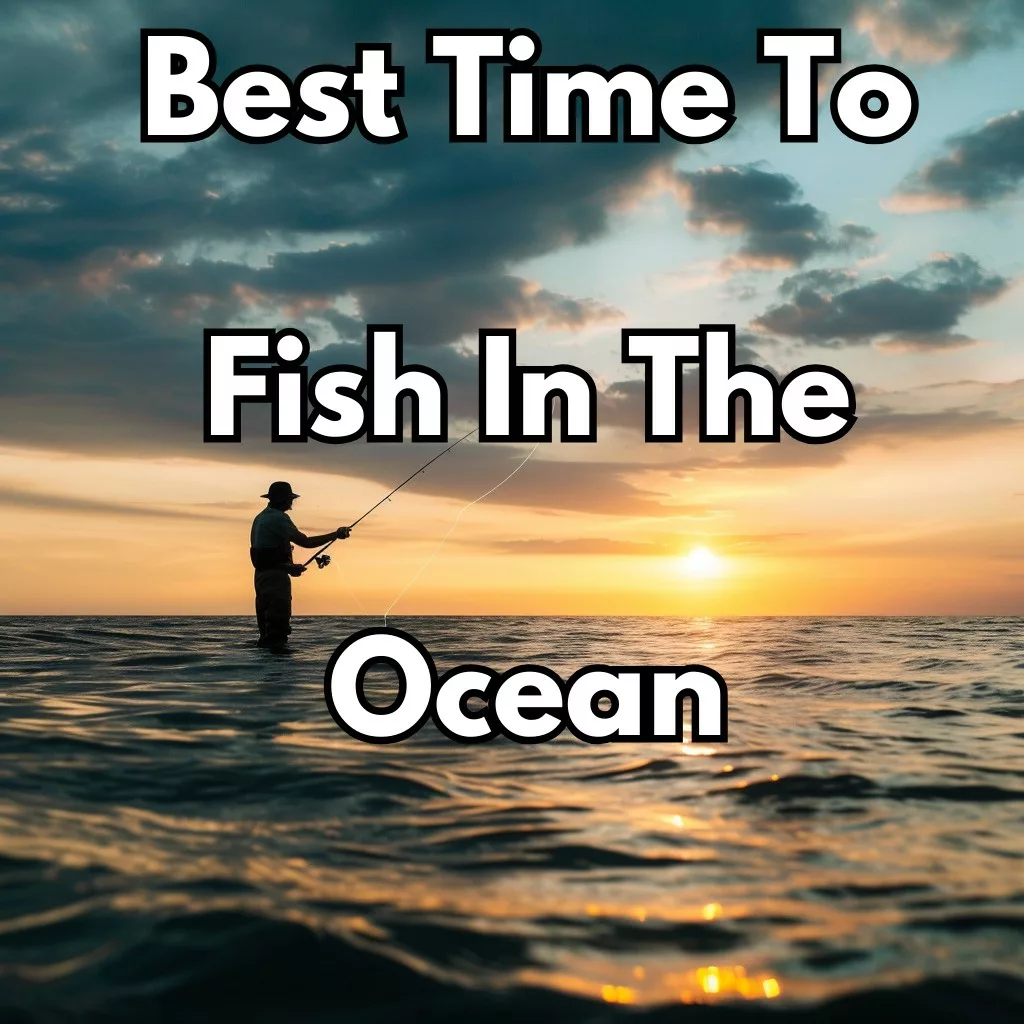 Best Time To Fish In The Ocean
